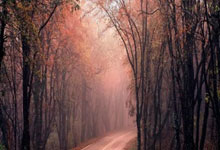 万博体育官网:媒体人呼吁伊万下课:钻石中场连新加坡都赢不了,居然还能用到现在.