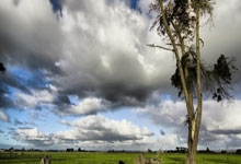 万博体育官网:欧文:如果纽卡今夏有意出售伊萨克,利物浦应该竭尽所能去签下他.