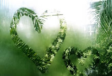 戈芬 耕耘 罗兰加洛斯之王.